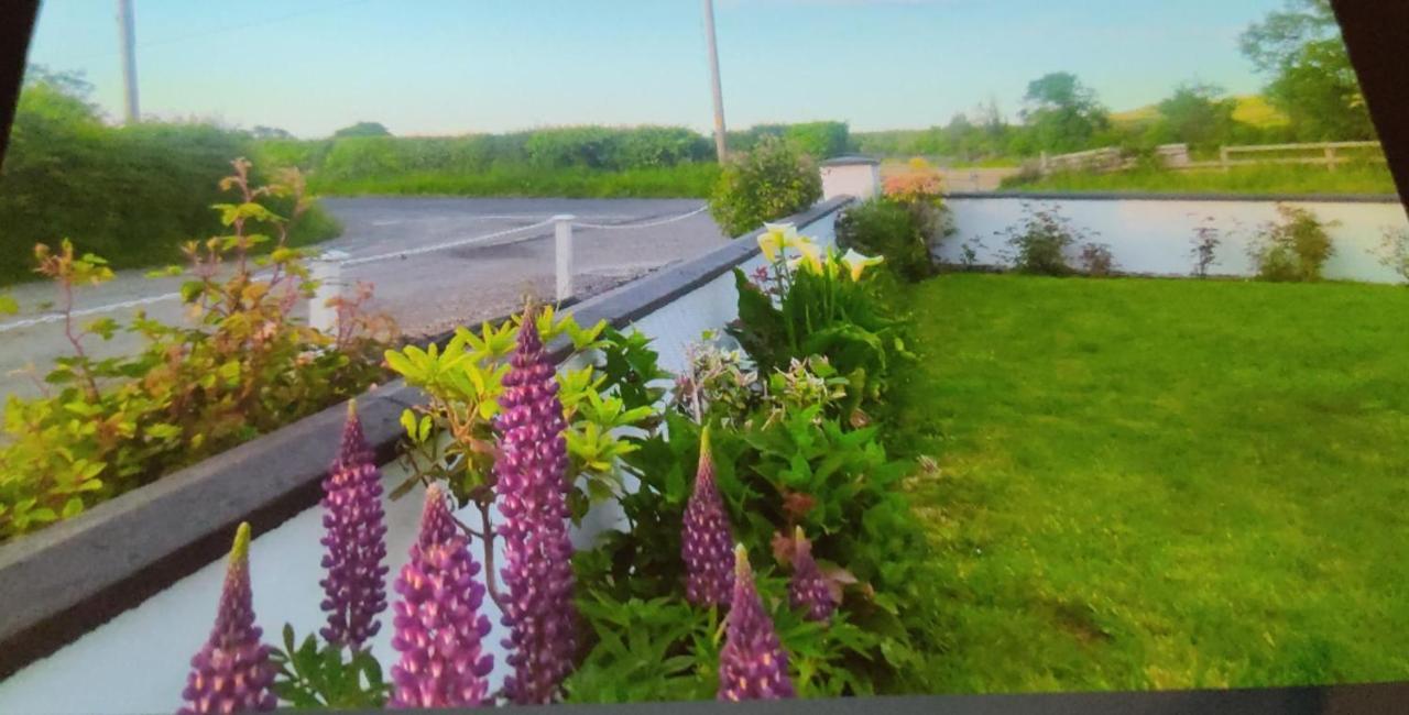 Cozy Cottage Retreat In Listowel Pet Friend Екстериор снимка